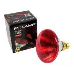 Lâmpada de Luz Infravermelha para Fisioterapia. Polamp. 150 W. 110v. imagem